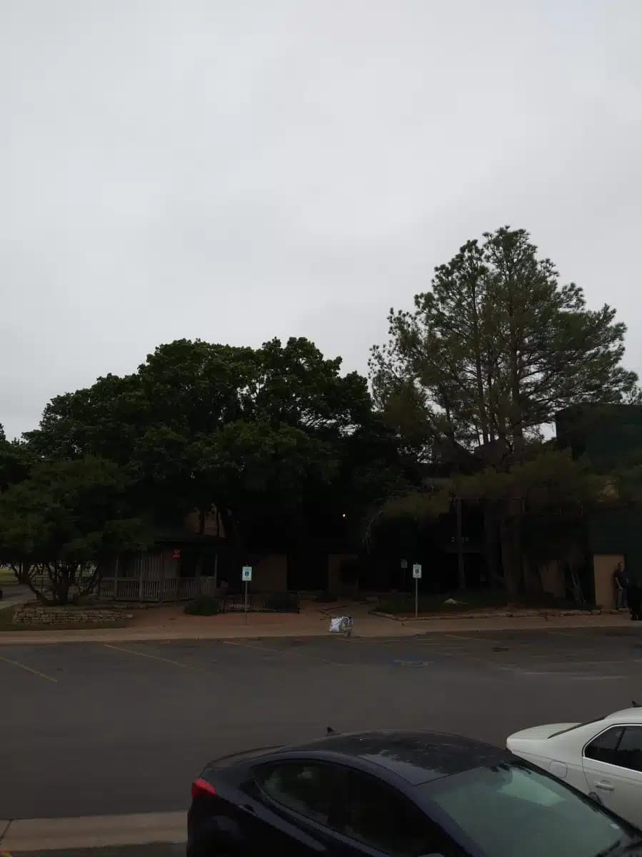 Abilene Betty Hardwick - Thumbnail 6