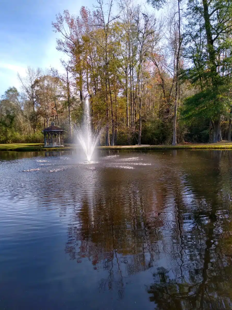 Ace Recovery for Men - Thumbnail 10