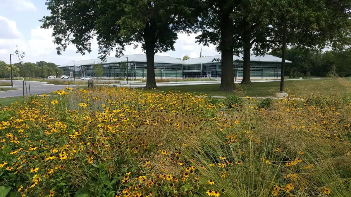 Add Csl Educ and Info Services (ACEIS) - Thumbnail 5