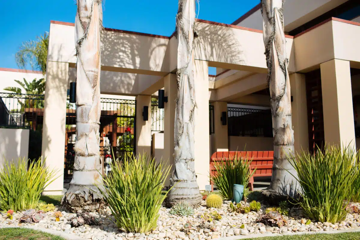 Alvarado Parkway Institute - Thumbnail 3