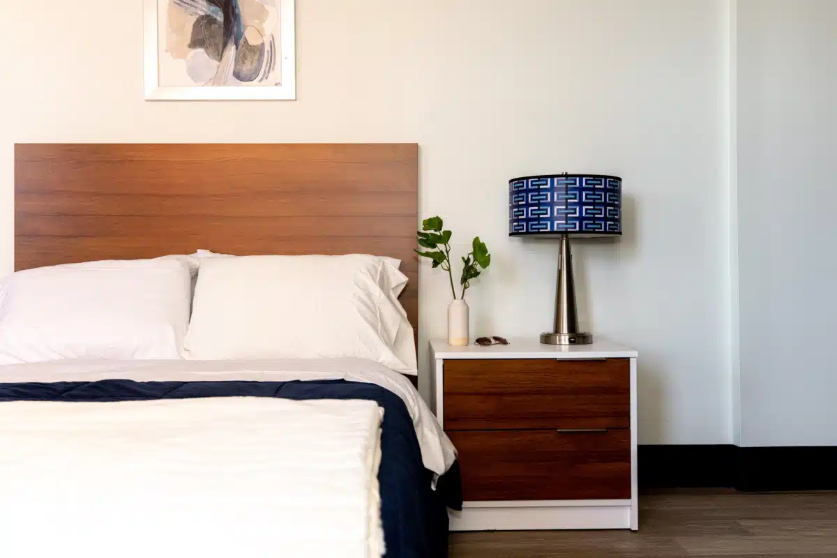 Arista Recovery - Thumbnail 8