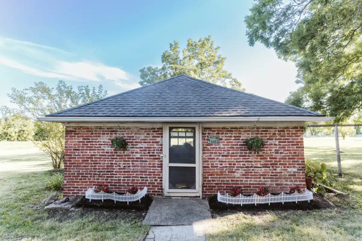 Arista Recovery - Thumbnail 9