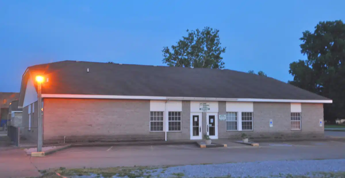 Arrowleaf - Thumbnail 3