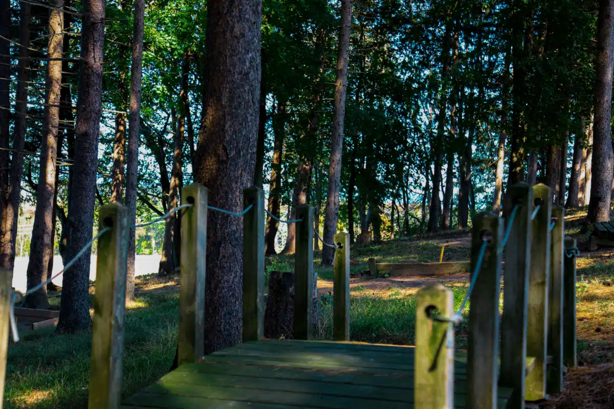 Ascend Clinical Services - Thumbnail 7