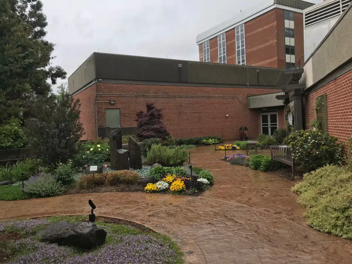 Atrium Health Mercy - Thumbnail 6