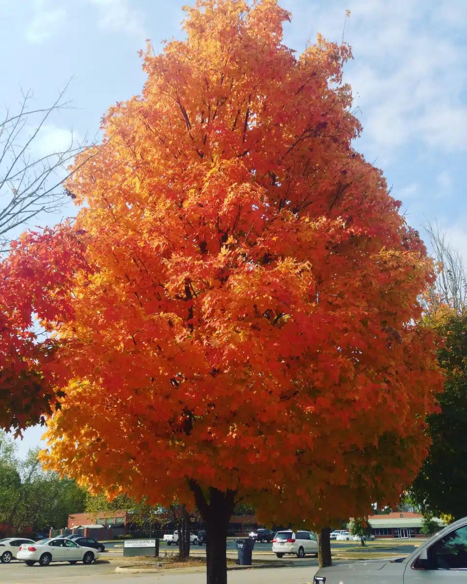 BHG Medical Services - Thumbnail 6