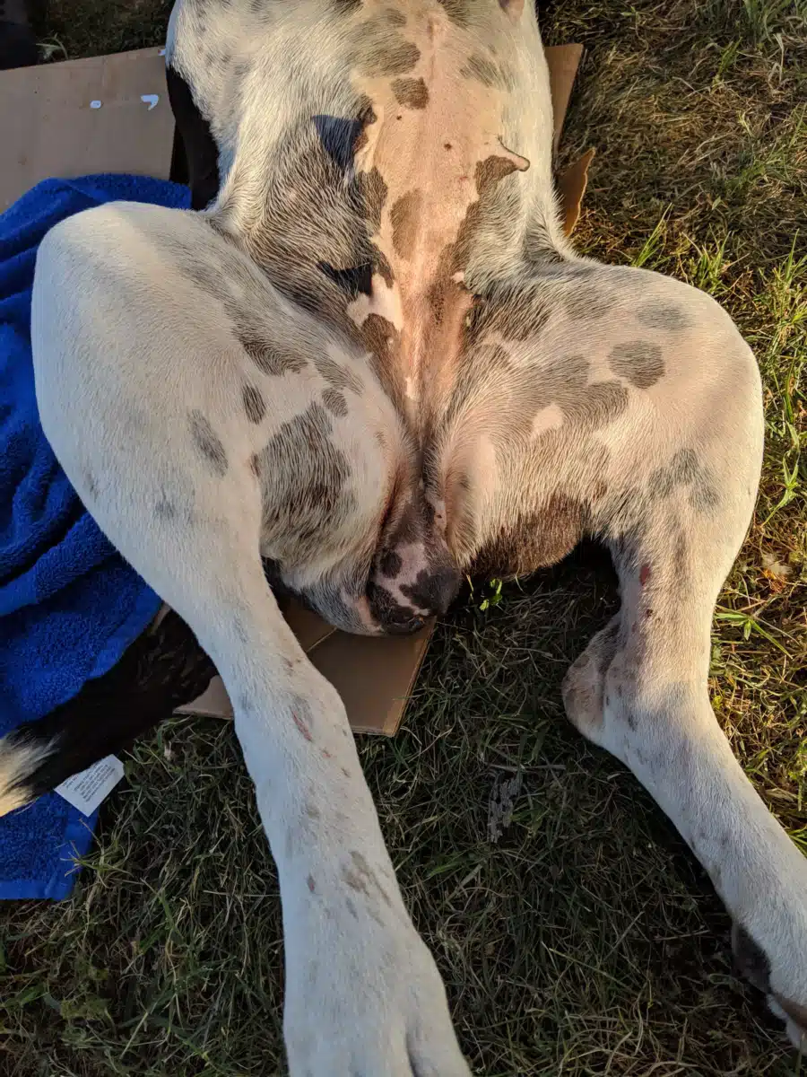 Bakersfield Recovery Services - Thumbnail 4