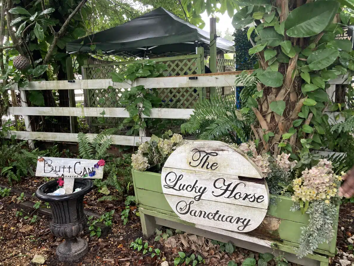 Banyan Pompano - Thumbnail 9