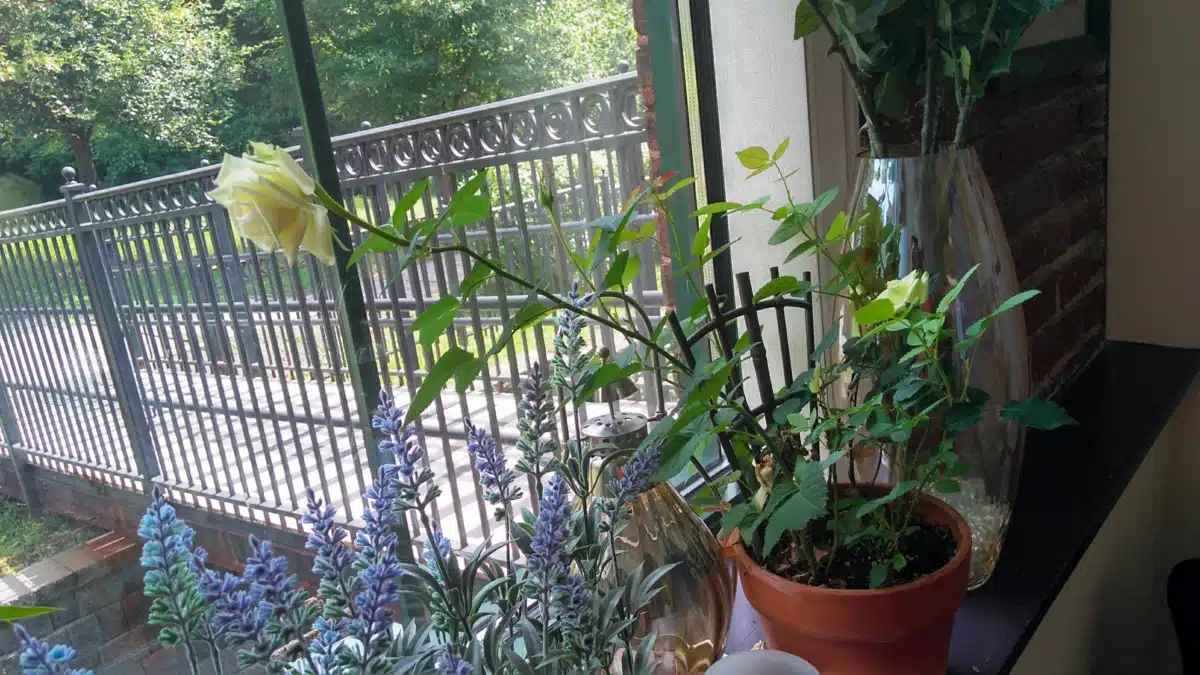 Behavioral Health Network (BHN) - Thumbnail 3