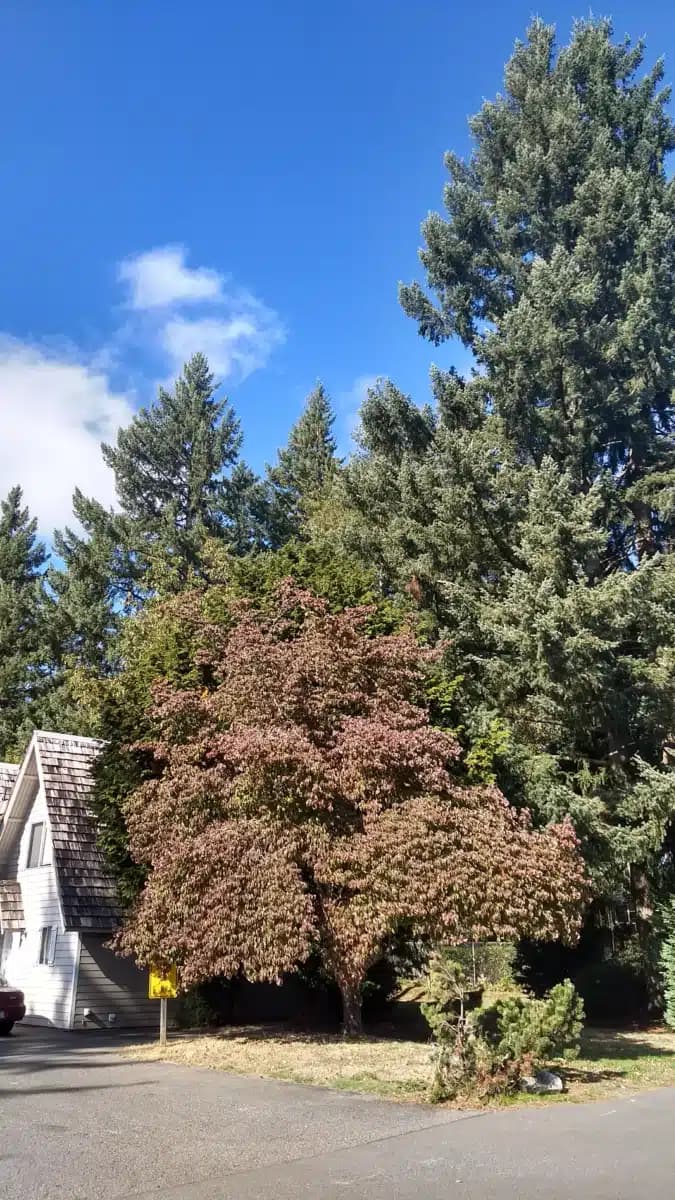 Behavioral Health Resources - Thumbnail 2