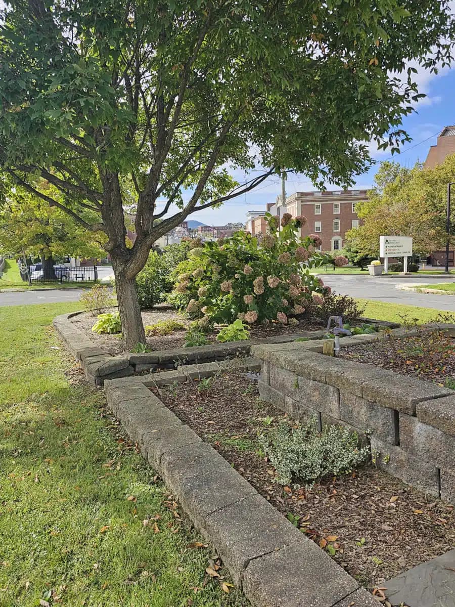 Berkshire Medical Center - Thumbnail 5