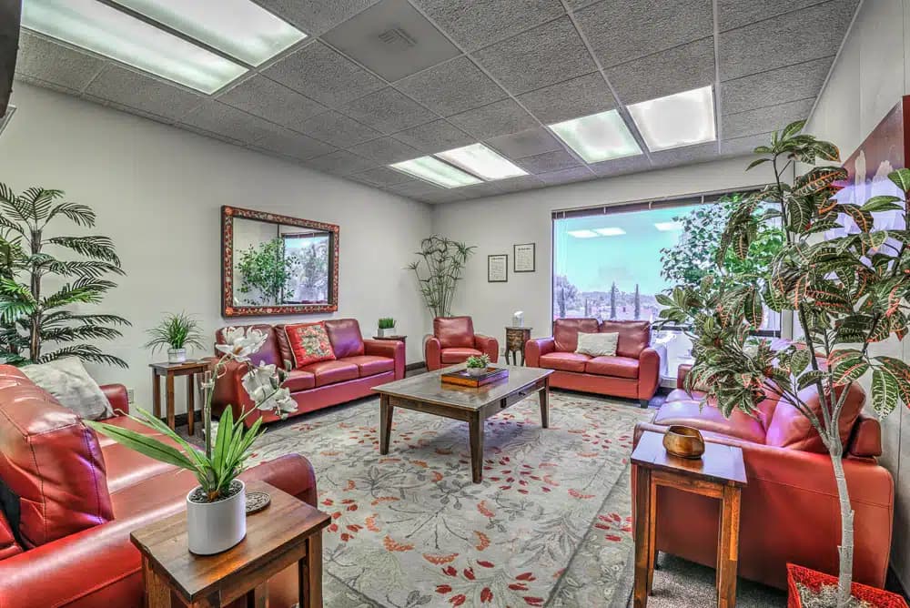 Bridges of San Diego