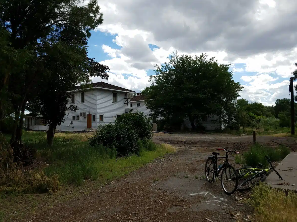 Bristlecone Family Resources - Thumbnail 6