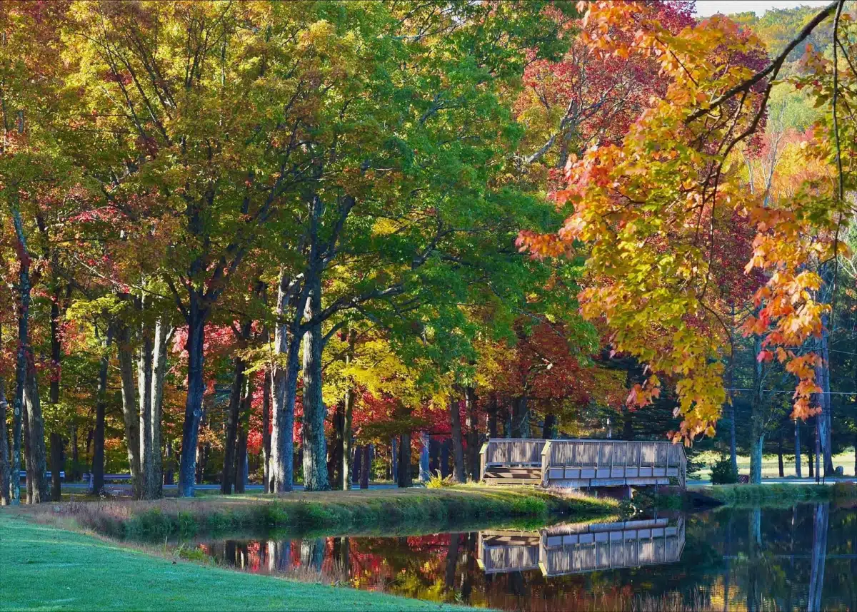 Brookdale Premier Addiction Recovery - Thumbnail 5