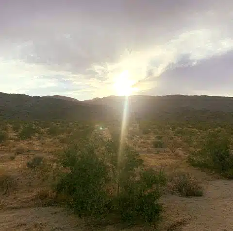 Buckeye Recovery Network - Thumbnail 7