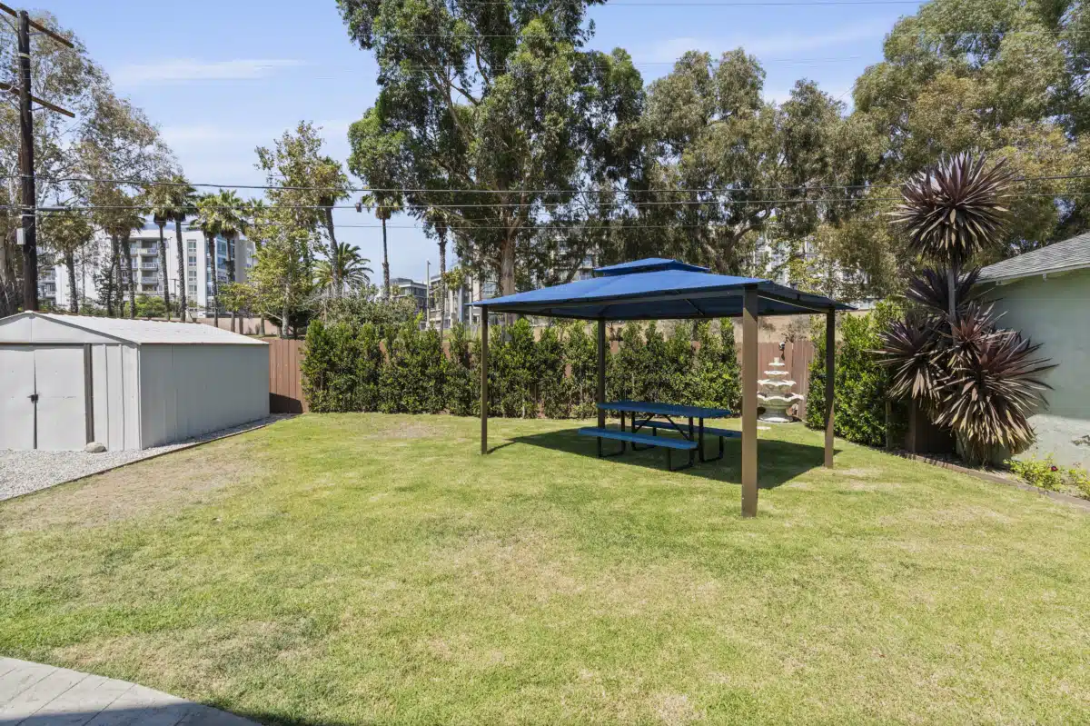 CNV Detox Inc - Thumbnail 6