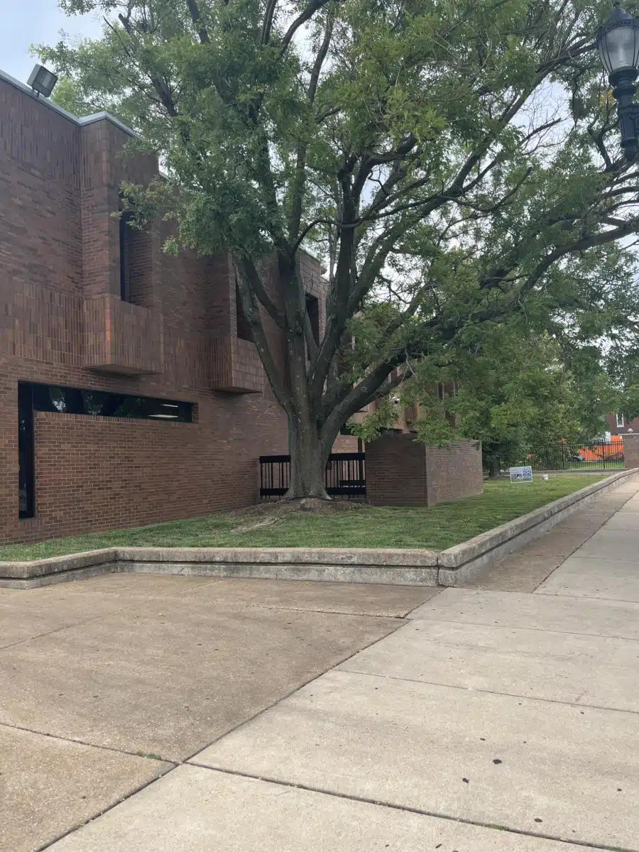 Care STL Health - Thumbnail 5