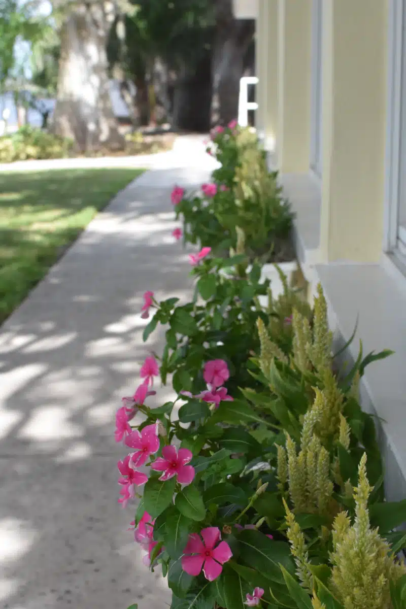 Celadon Recovery Center - Thumbnail 10