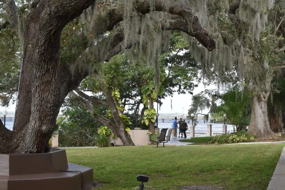 Celadon Recovery Center - Thumbnail 9