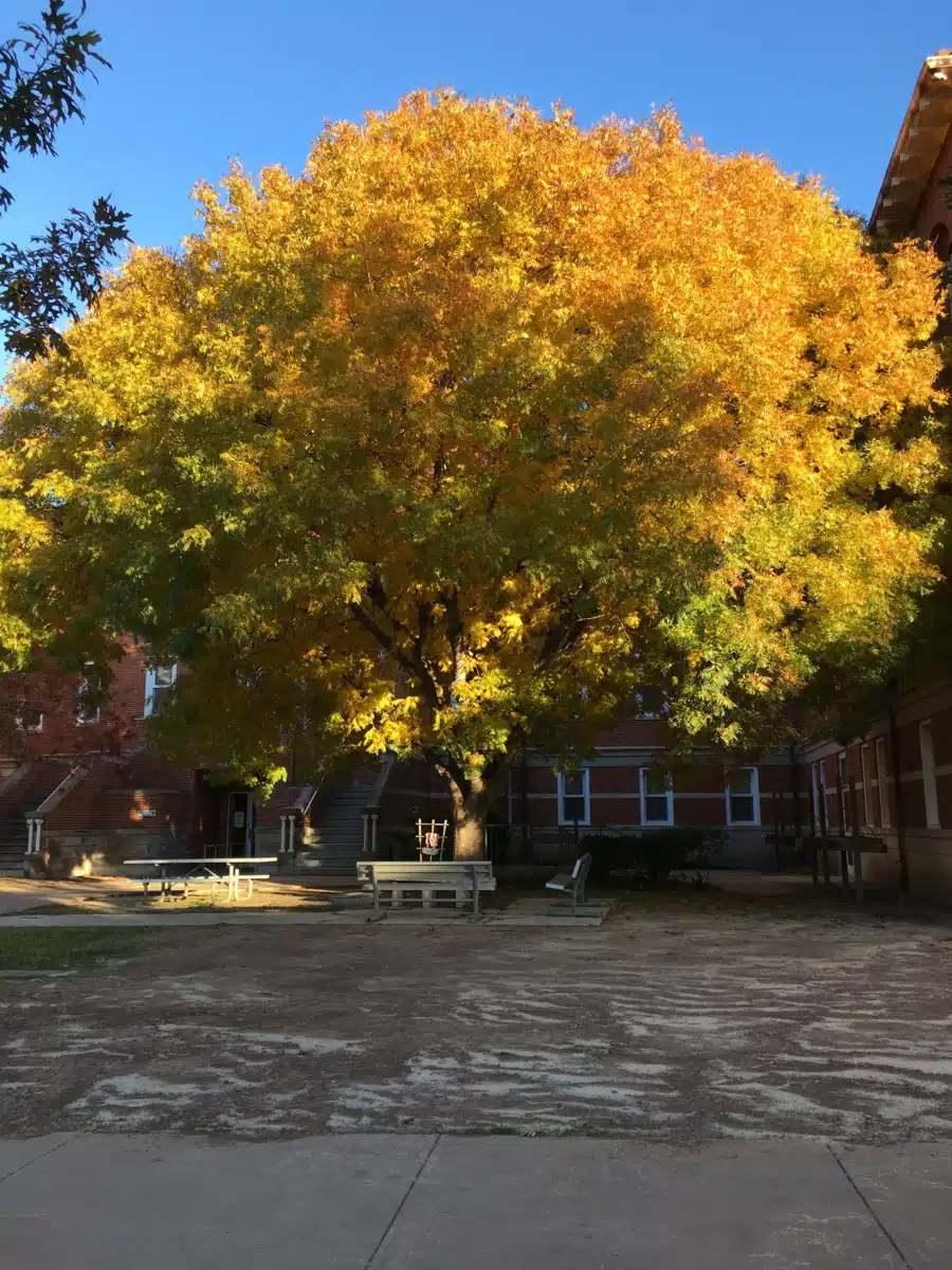 Central Texas VA Healthcare System - Thumbnail 3