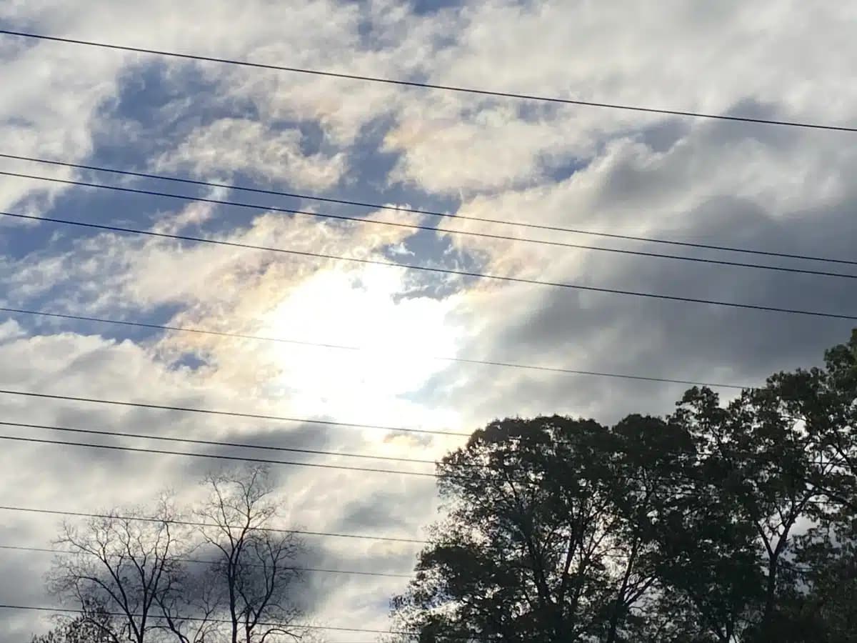 Changing Phases Behavior Support Inc