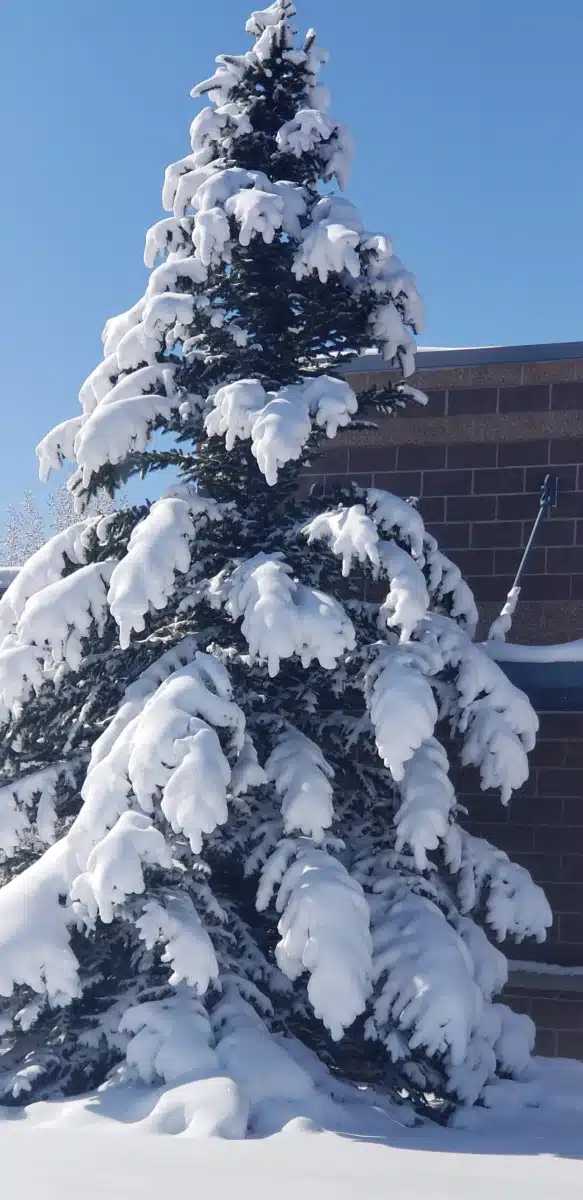 Cheyenne VA Healthcare System - Thumbnail 8