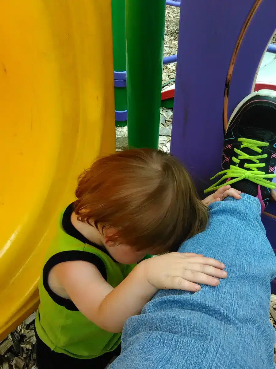 Chrysalis House Inc - Preview