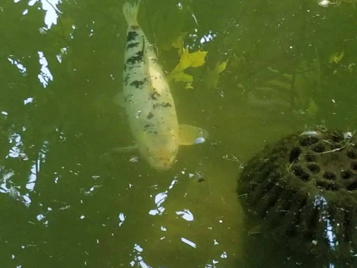 Clifton Springs Hosp Clinic - Thumbnail 10