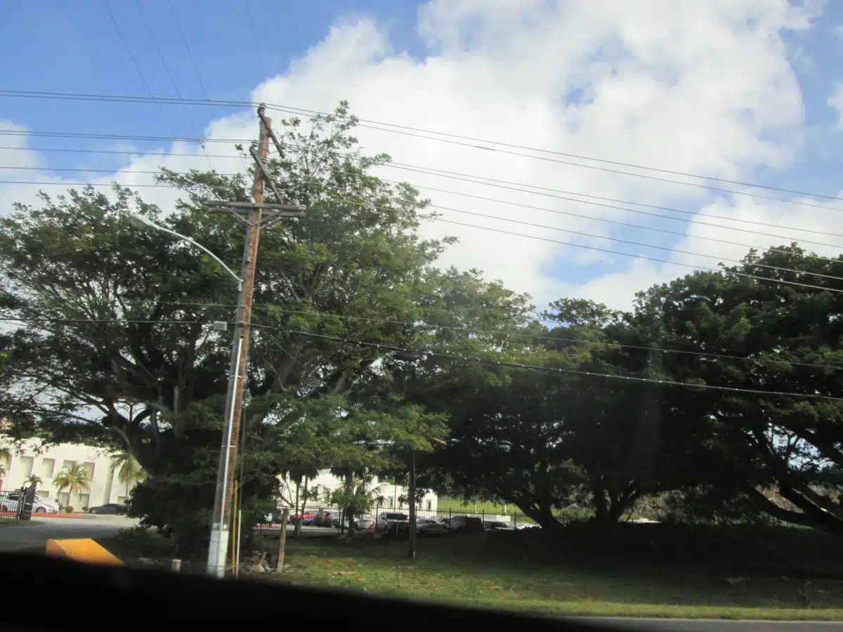 Commonwealth Healthcare Corporation - Thumbnail 10