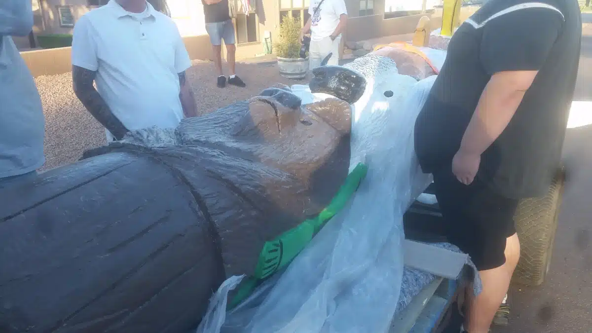 Community Bridges Inc - Thumbnail 10