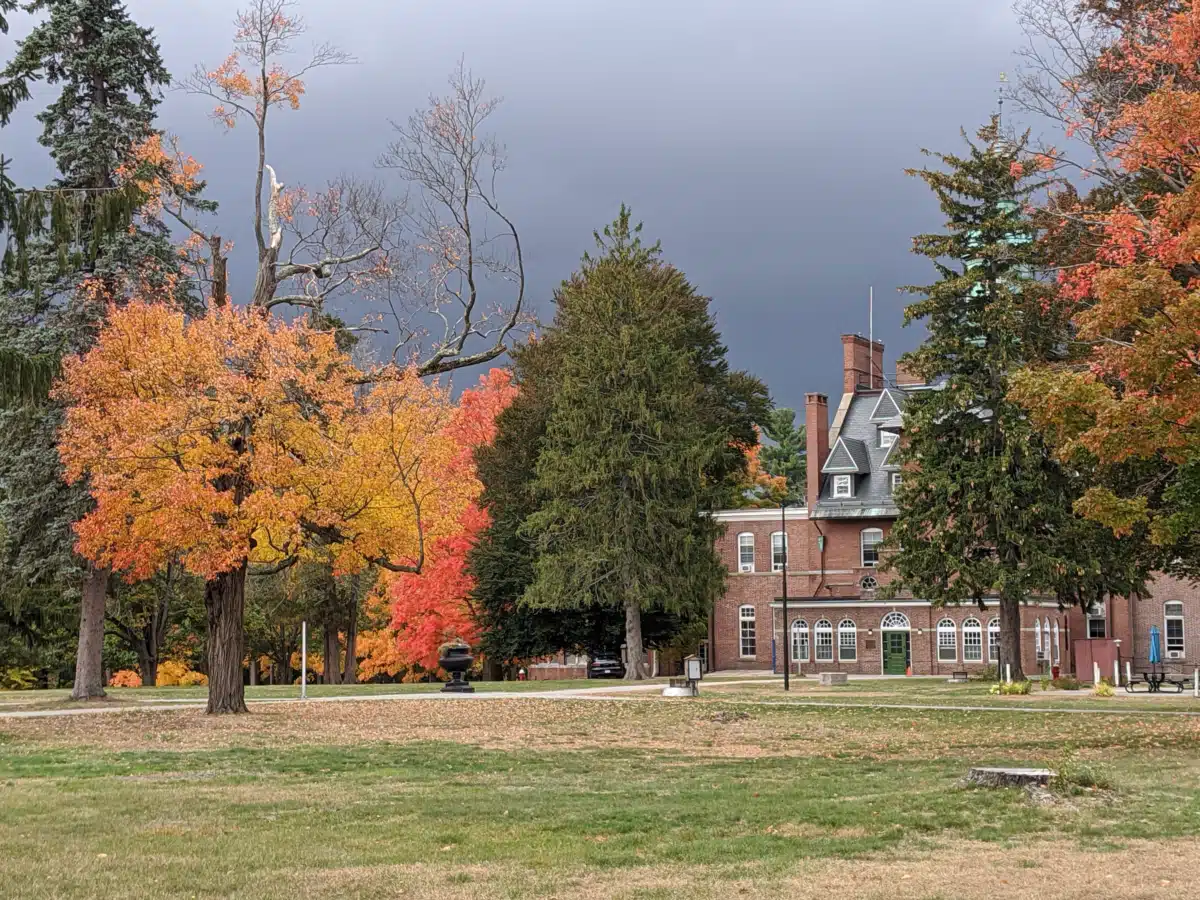 Conexiones - Thumbnail 3