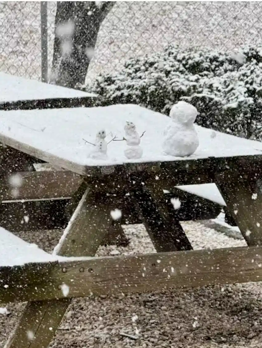 Daymark Recovery Services Inc - Thumbnail 7