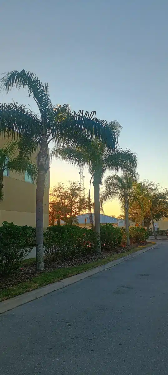 DeSoto Psychiatric Services - Thumbnail 4