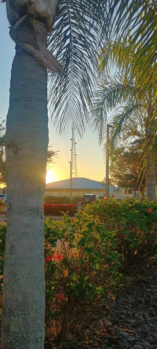 DeSoto Psychiatric Services - Thumbnail 9