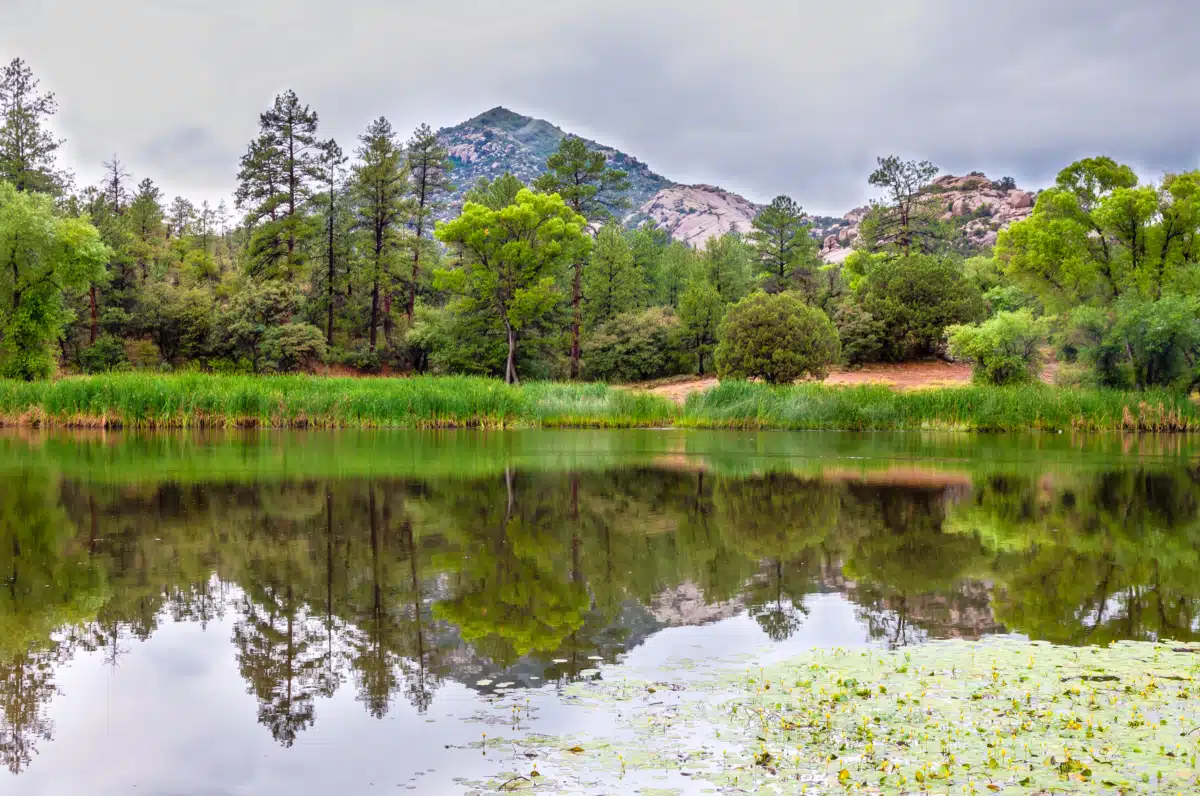 Decision Point LLC - Thumbnail 10