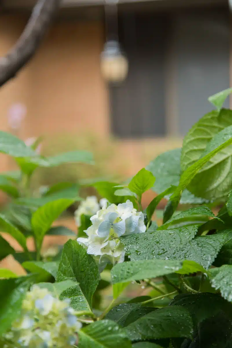 Detox and Treatment Center - Thumbnail 4