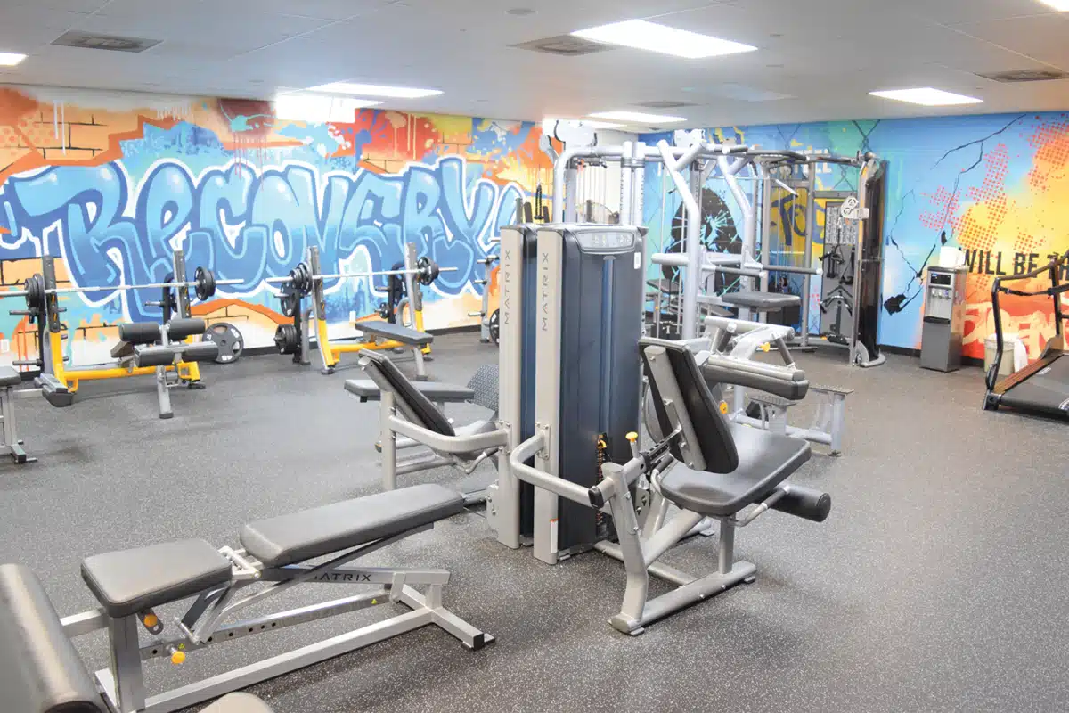 Discovery Institute for - Thumbnail 7