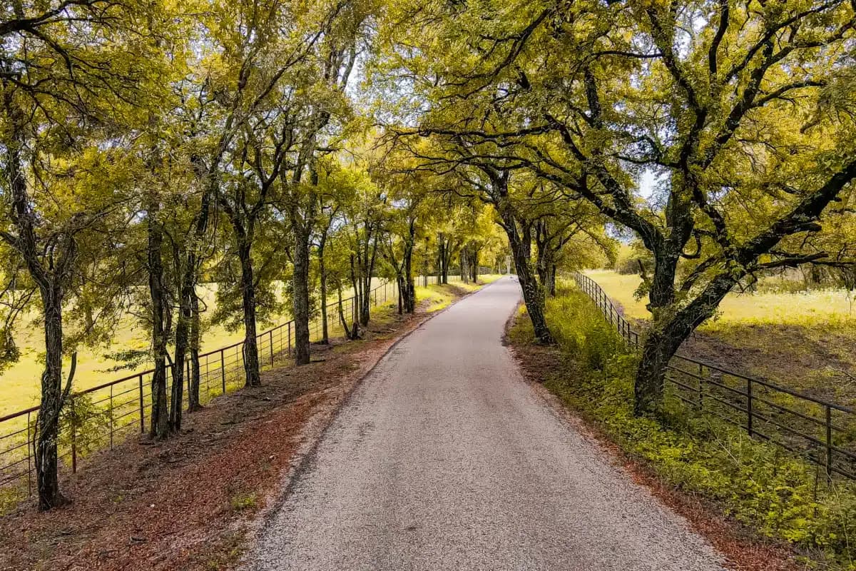 Discovery Point Retreat - Thumbnail 7