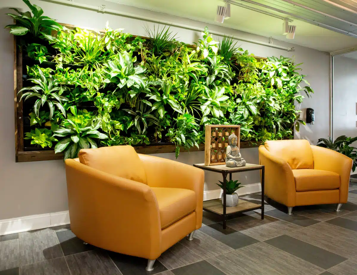 DreamLife Recovery LLC - Thumbnail 4