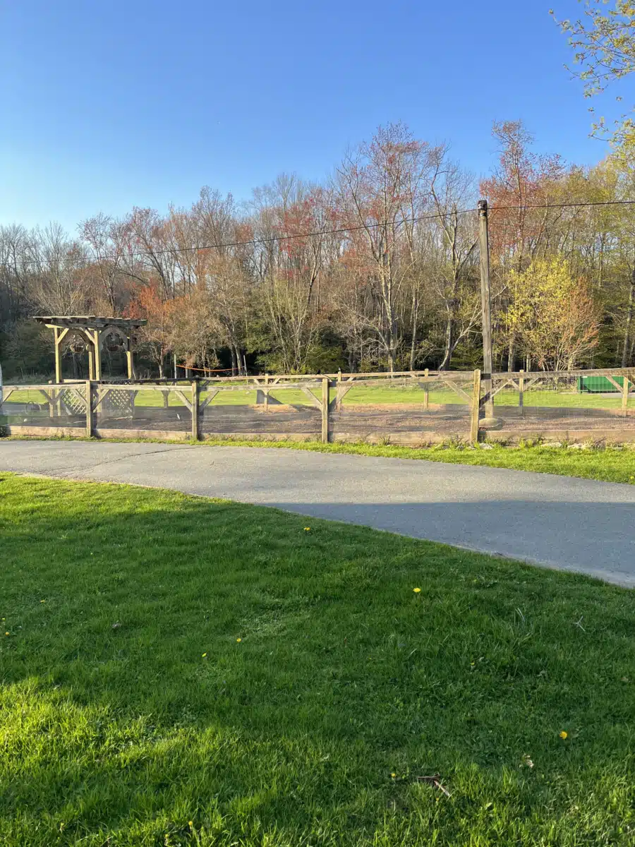 Dynamic Youth Community Inc - Thumbnail 10