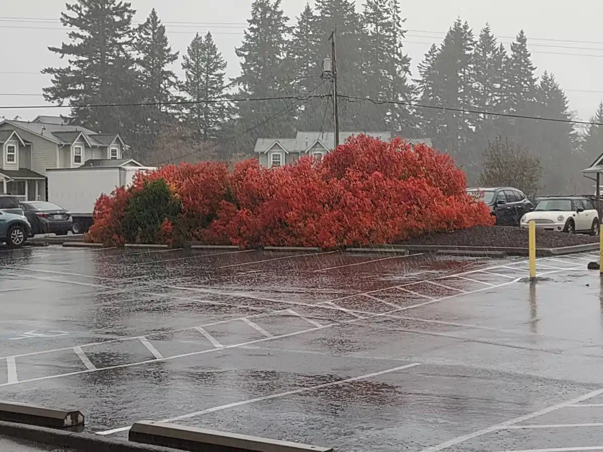 ESD113/True North Student Assistance - Thumbnail 8