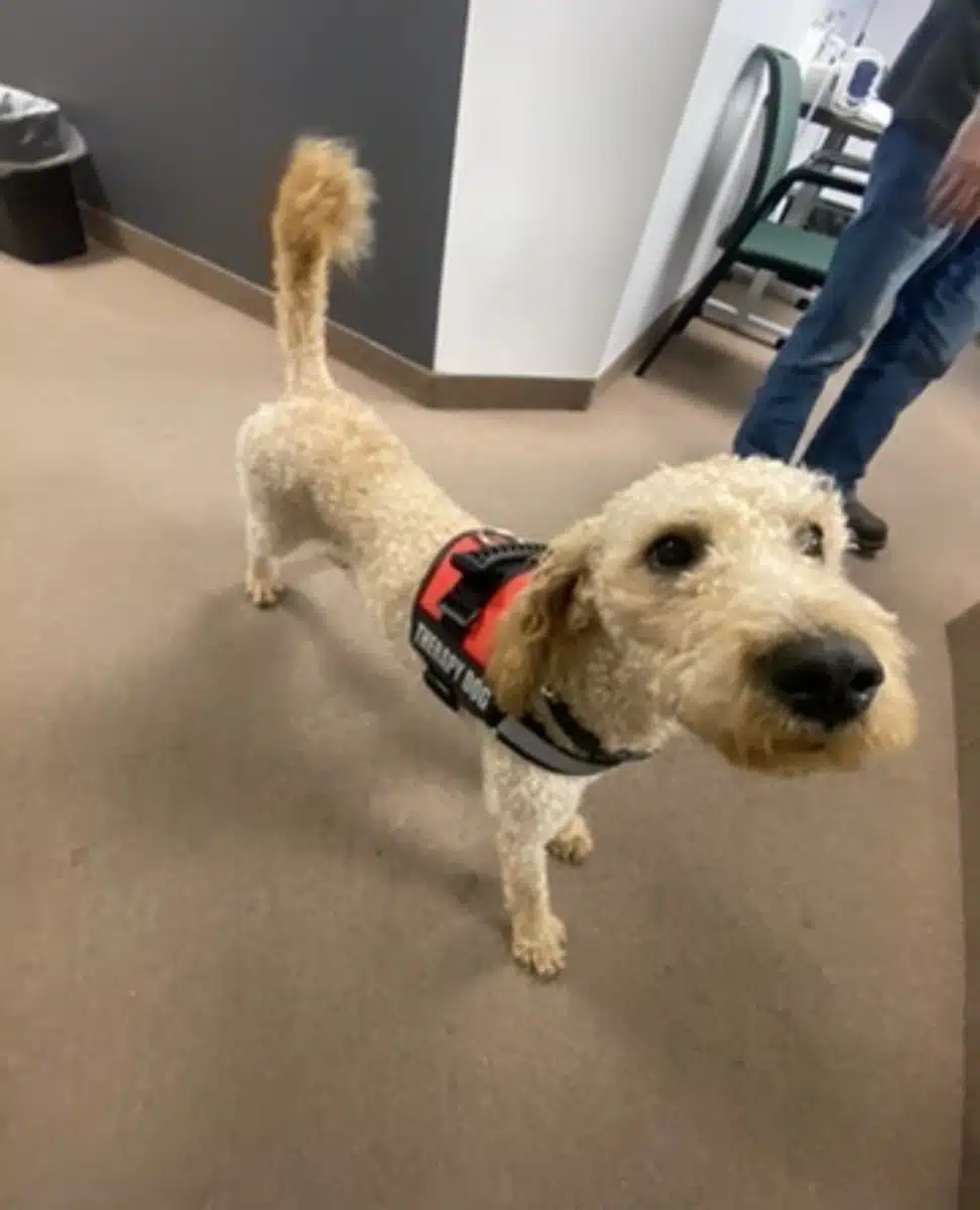 East Valley Integrated Health Home - Thumbnail 6