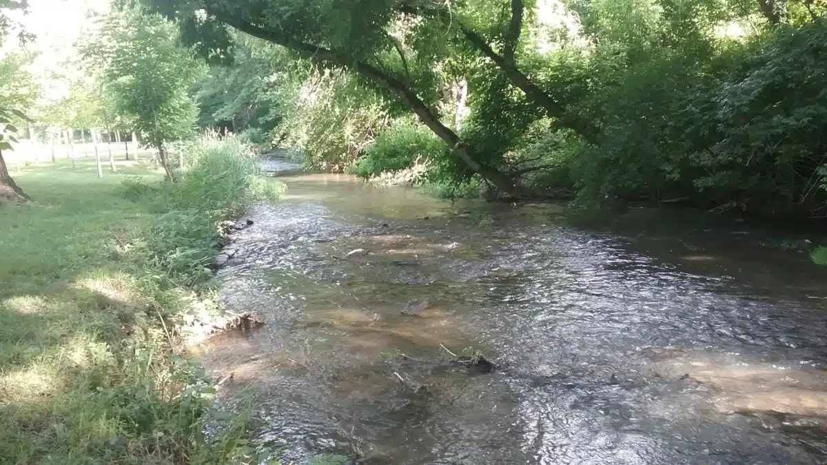 Eastridge Health Systems - Thumbnail 2