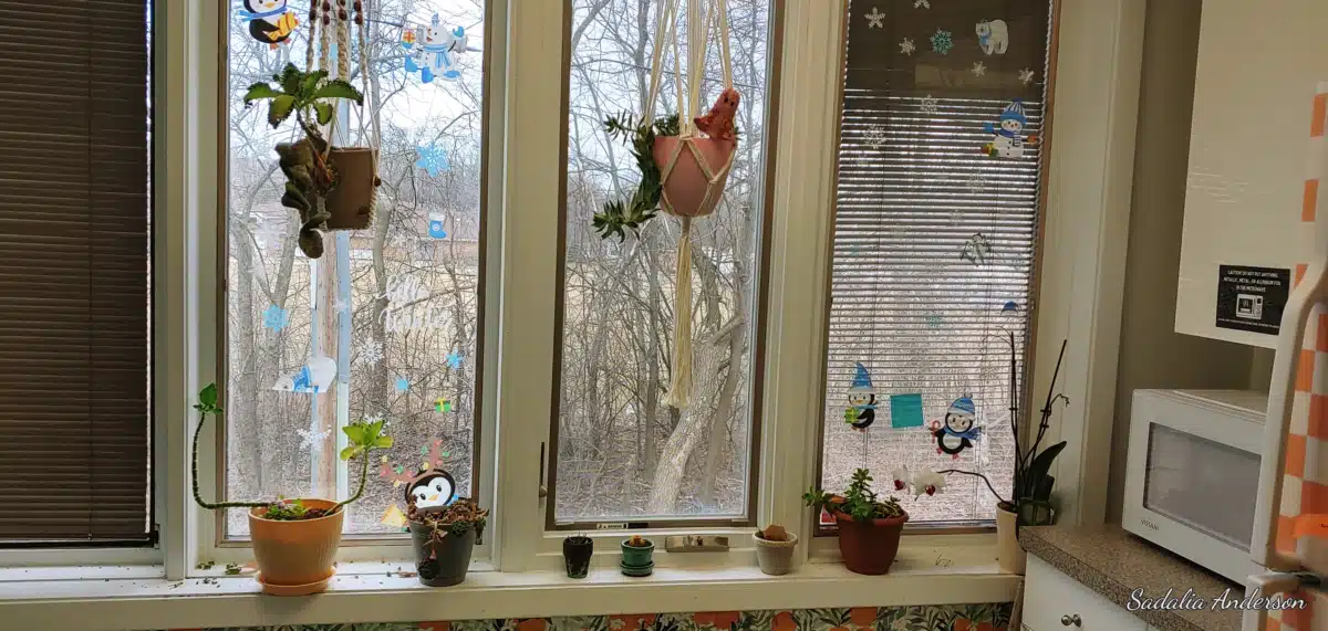 Ecker Center for Behavioral Health - Thumbnail 10