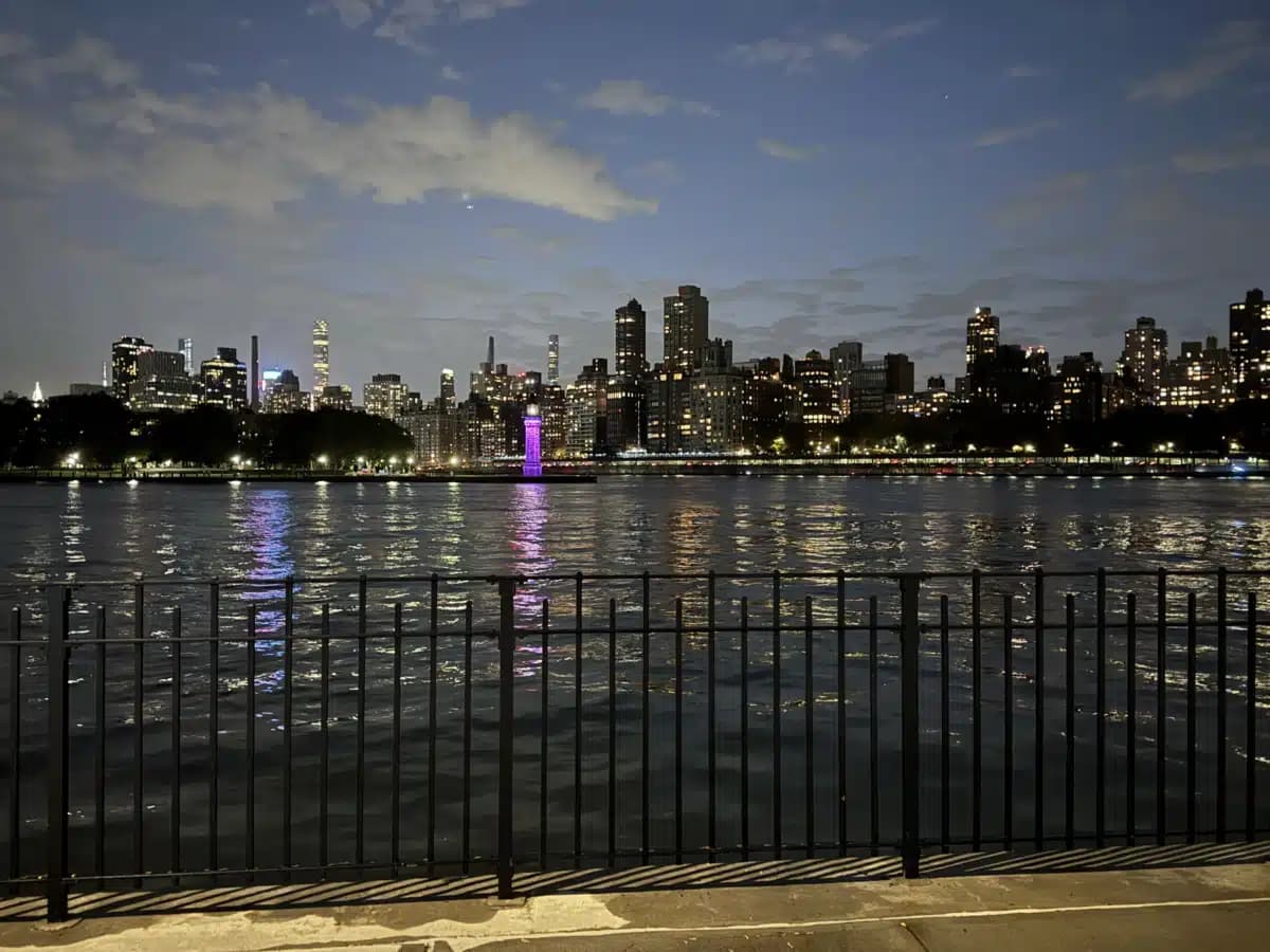 Elmhurst Hospital Center - Thumbnail 9