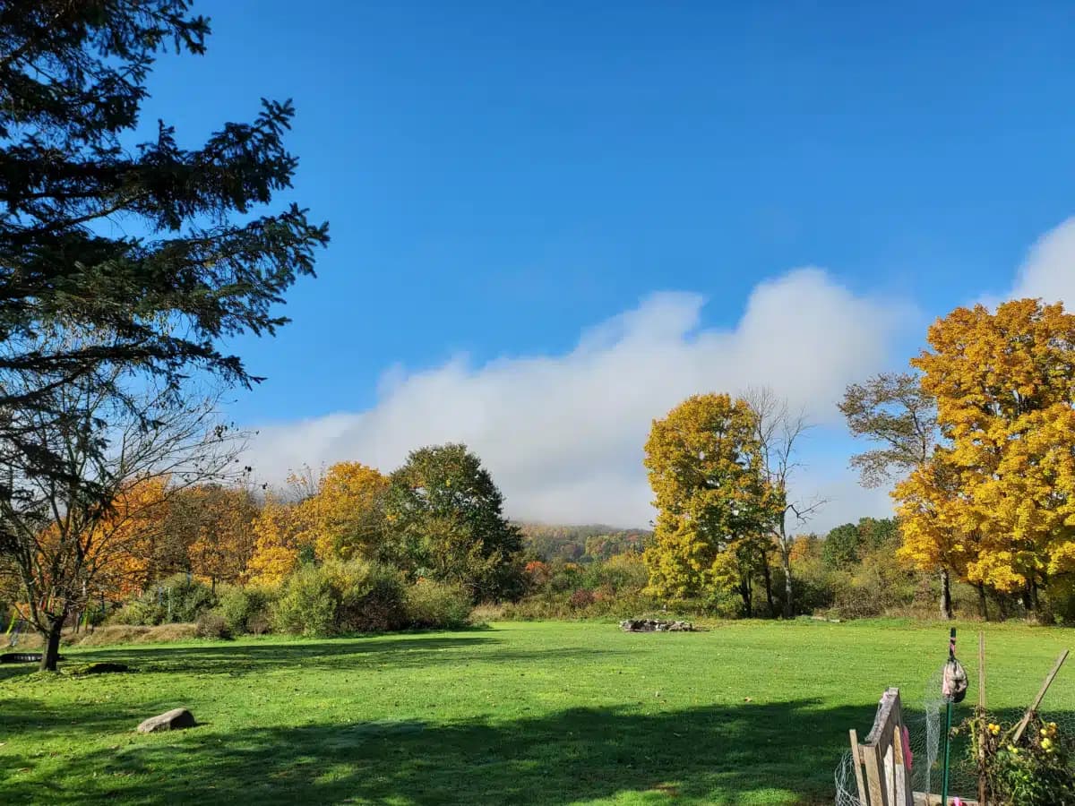 Endless Mountains Extended Care LLC - Thumbnail 4