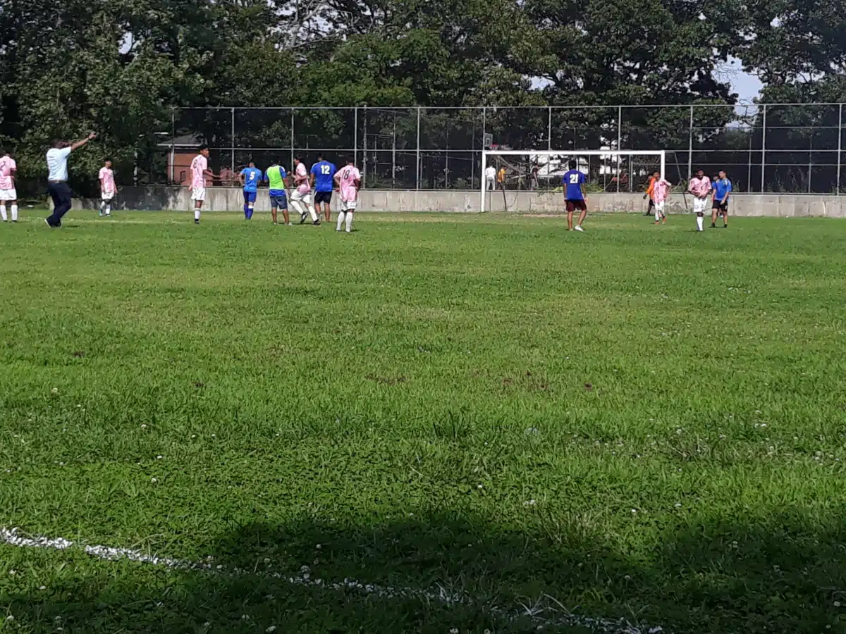 Five Towns CC/CODA - Thumbnail 2