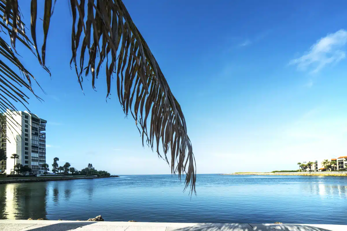 Footprints Beachside Recovery - Thumbnail 9