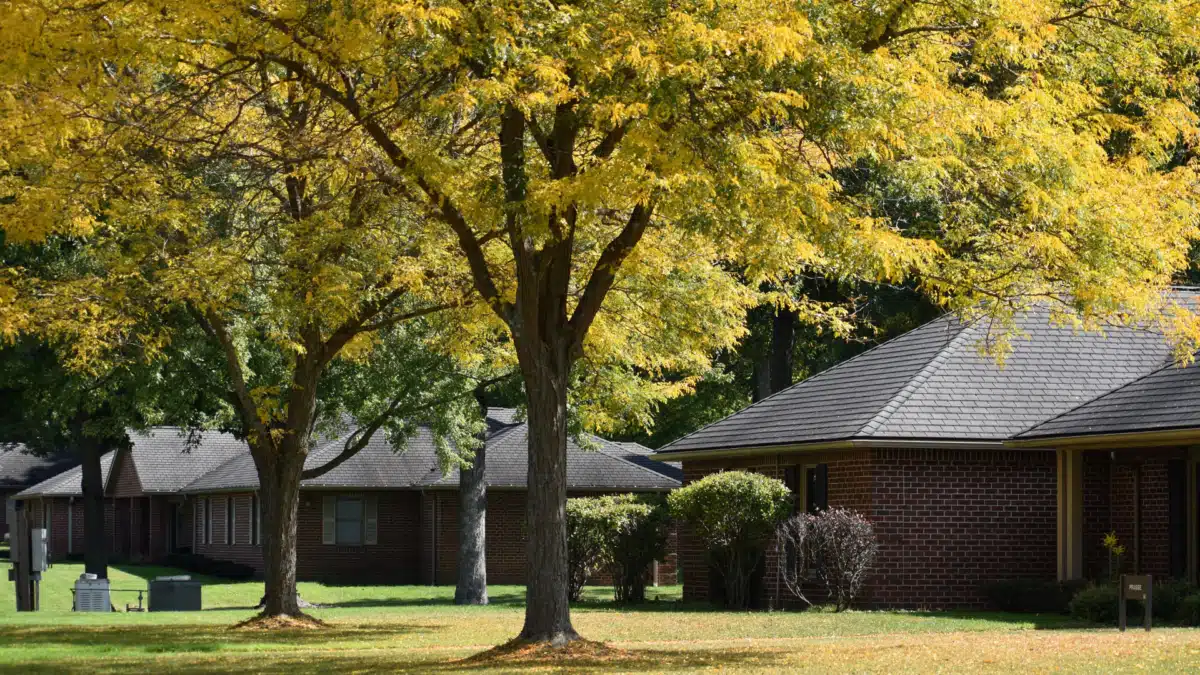 George Junior Republic - Thumbnail 9