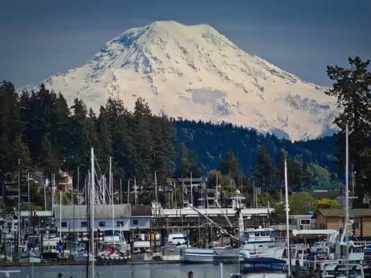 Gig Harbor Counseling - Thumbnail 3